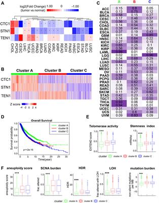 Pan-Cancer Analyses Identify the CTC1-STN1-TEN1 Complex as a Protective Factor and Predictive Biomarker for Immune Checkpoint Blockade in Cancer